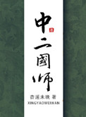 中二国师小说封面